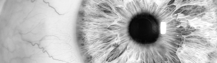 Auge, (c) Madartists | Dreamstime.com